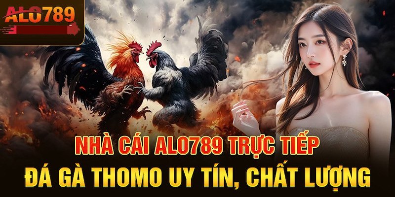 Đánh giá khách quan về nền tảng Alo789